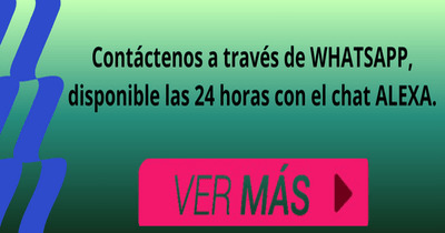 Imagen 5